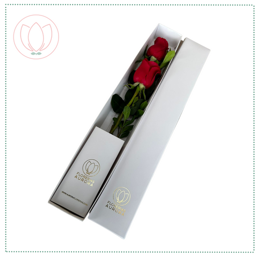 Caja blanca con 02 rosas rojas
