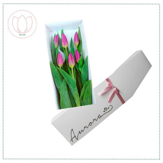 Caja con 6 tulipanes