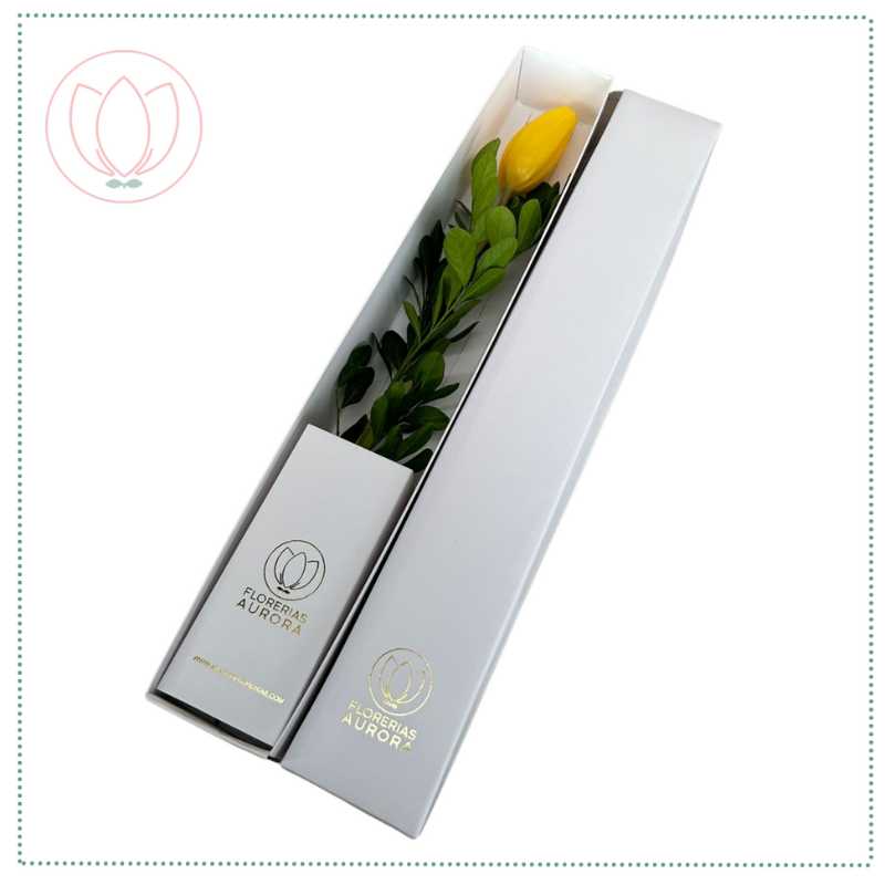 Caja de 1 tulipán