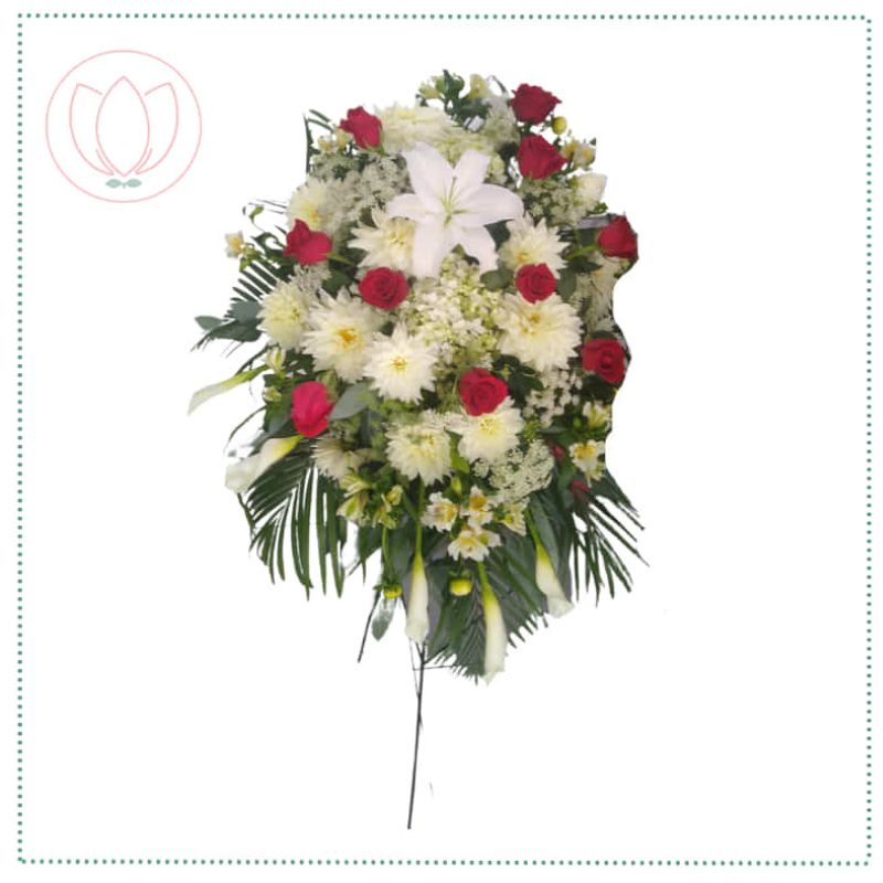 Lagrima con rosas rojas