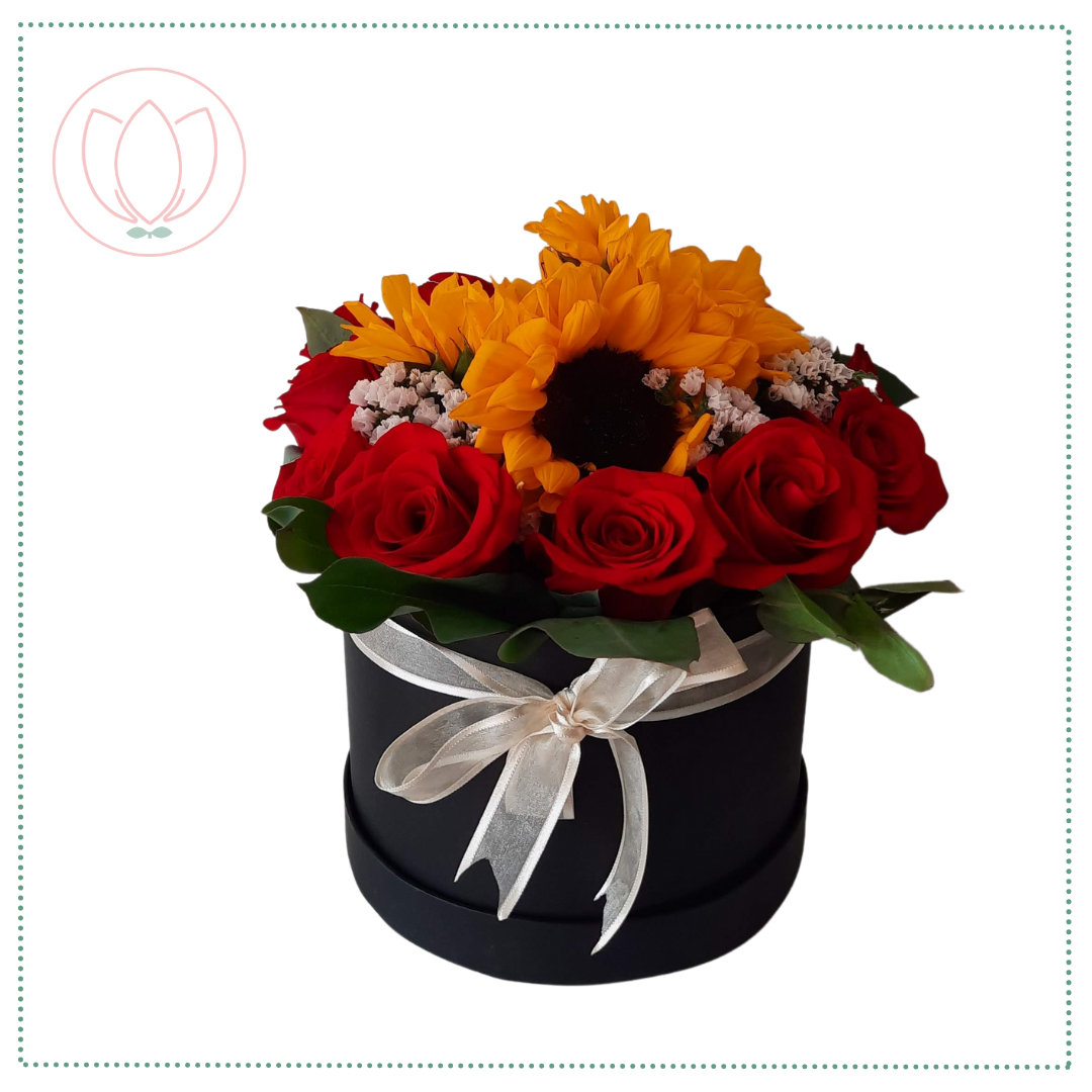 BOX COMBINADO