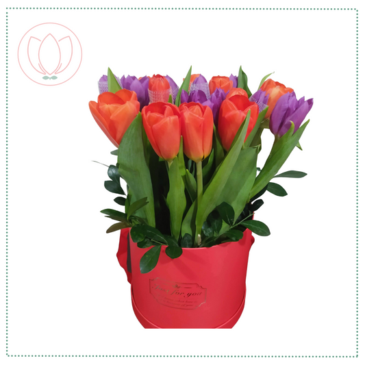 Box 20 Tulipanes Variados
