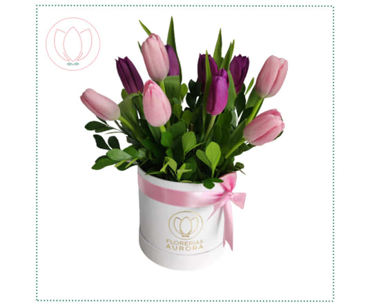 Box 12 tulipanes