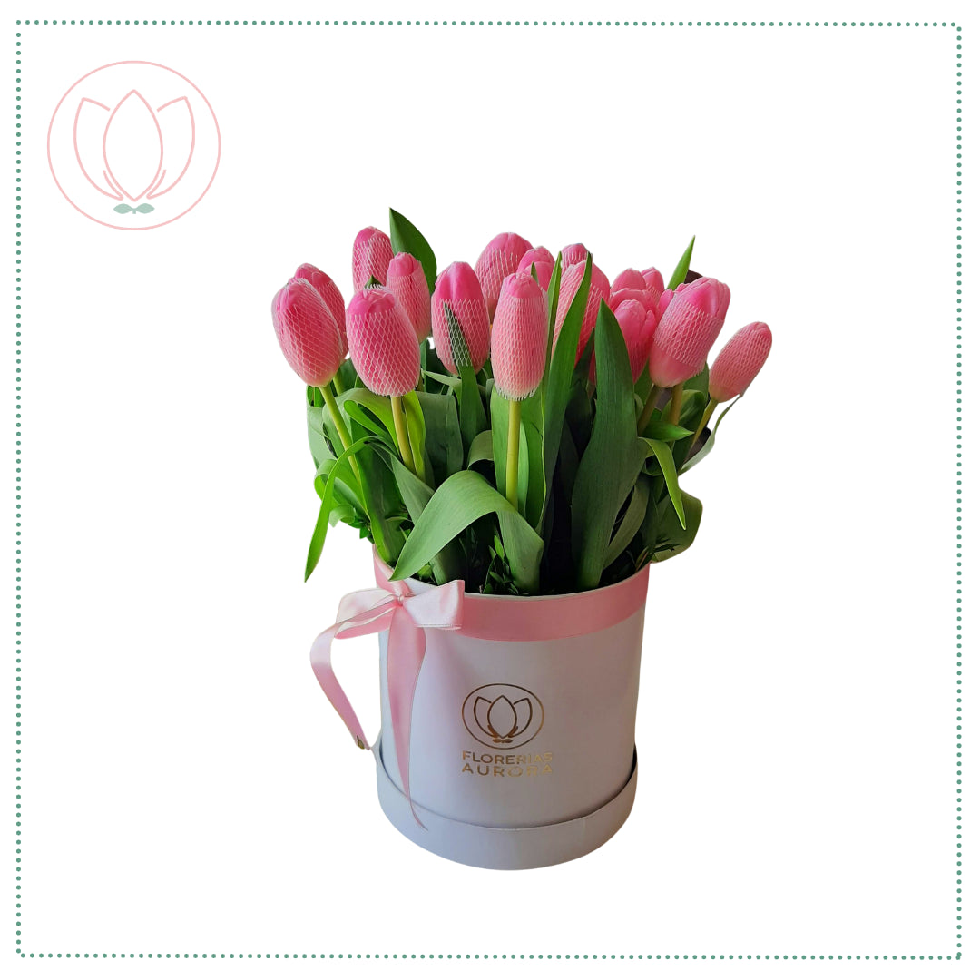 Box de 10 Tulipanes
