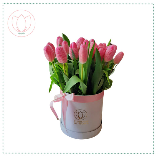 Box de 10 Tulipanes