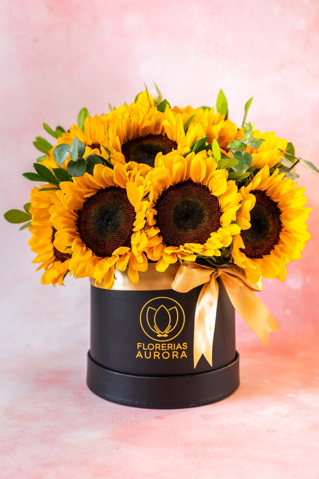Full Girasol