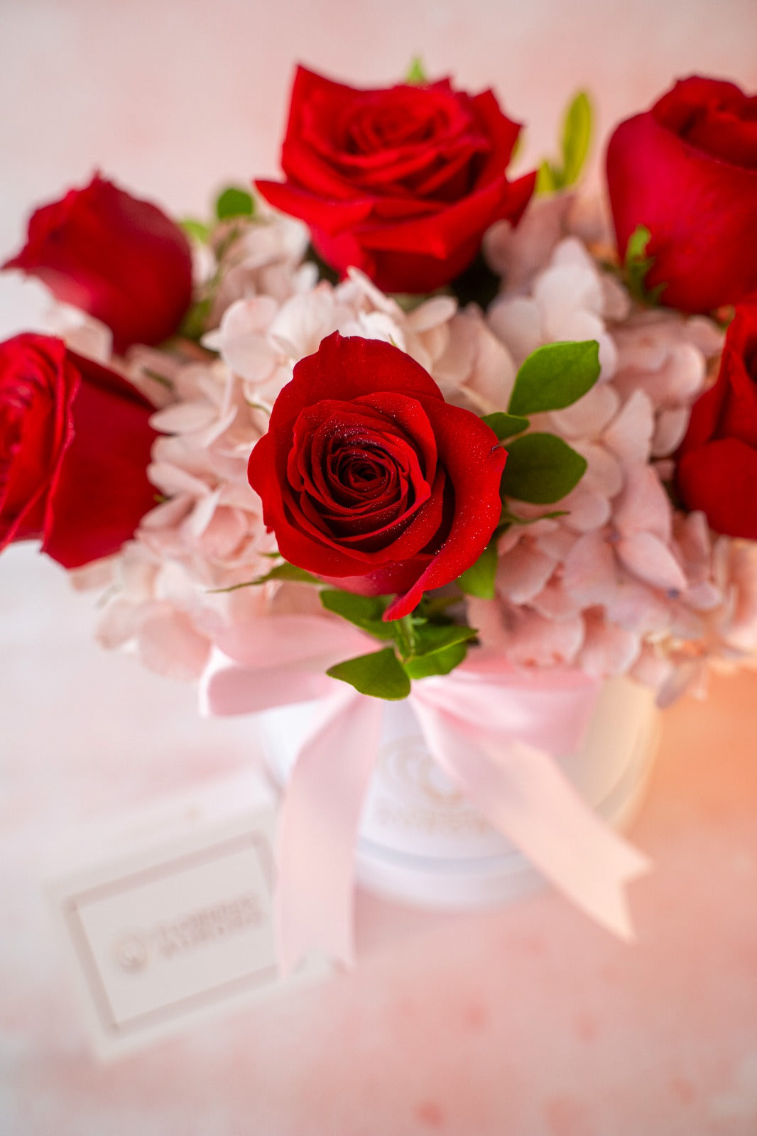 Box Hortensia Rosa