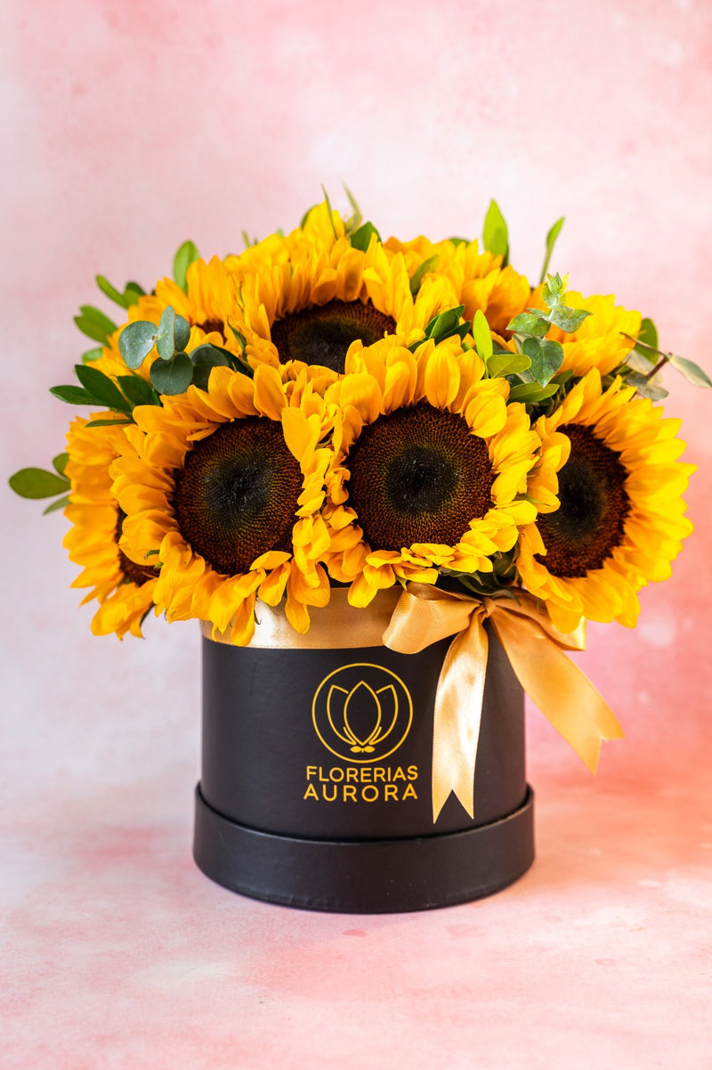 box girasol grande