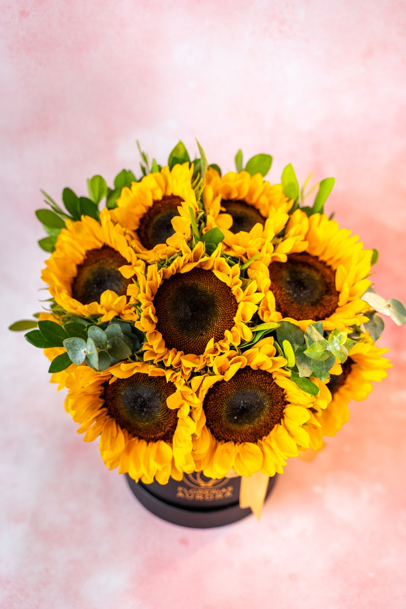 box girasol grande