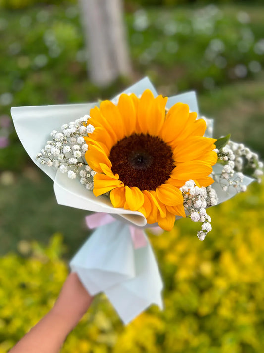 Girasol Unidad