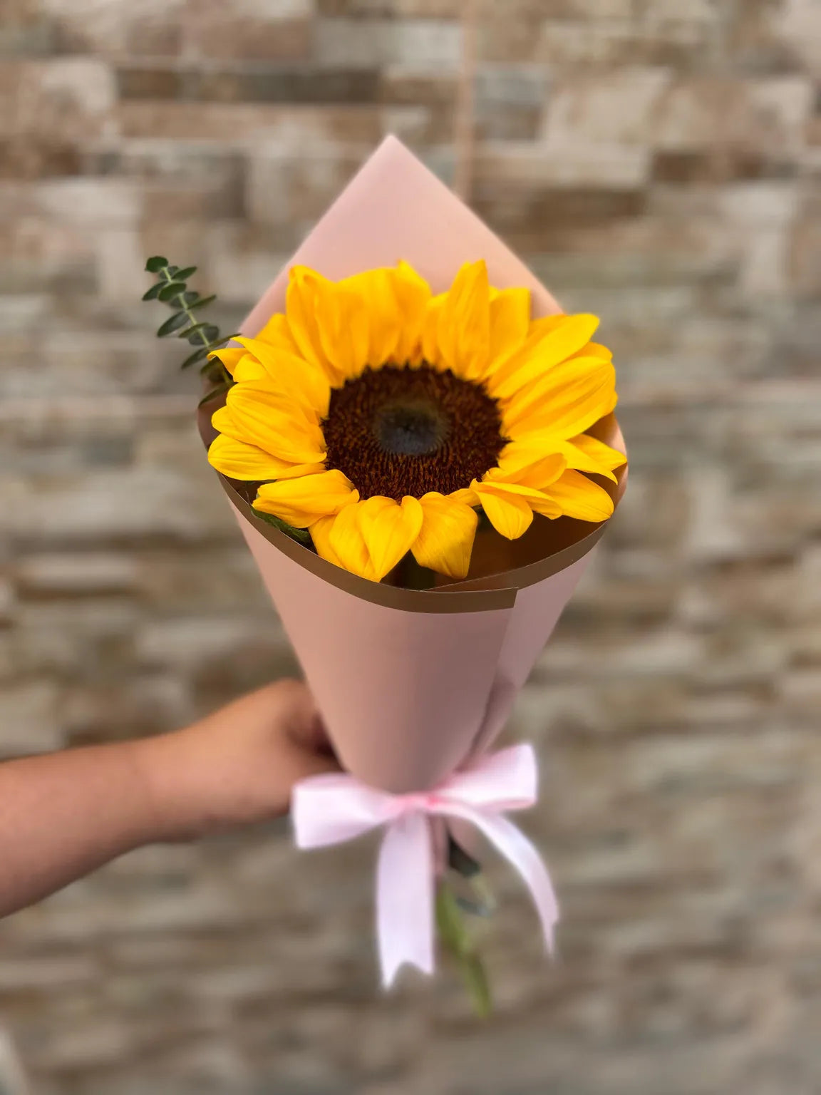 Girasol Unidad