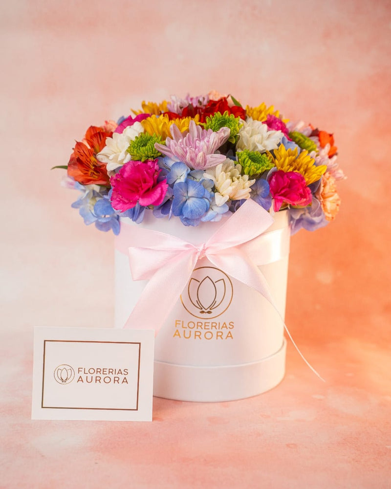 Box Primaveral · Florerías Aurora